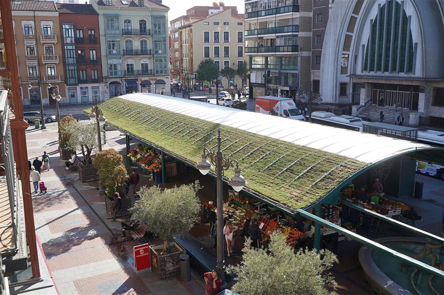 Nature will welcome you when buying fruits and vegetables in Valladolid