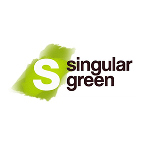 Singular Green