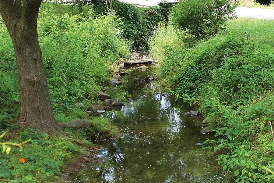 Grassed swales and Water Retention Pounds