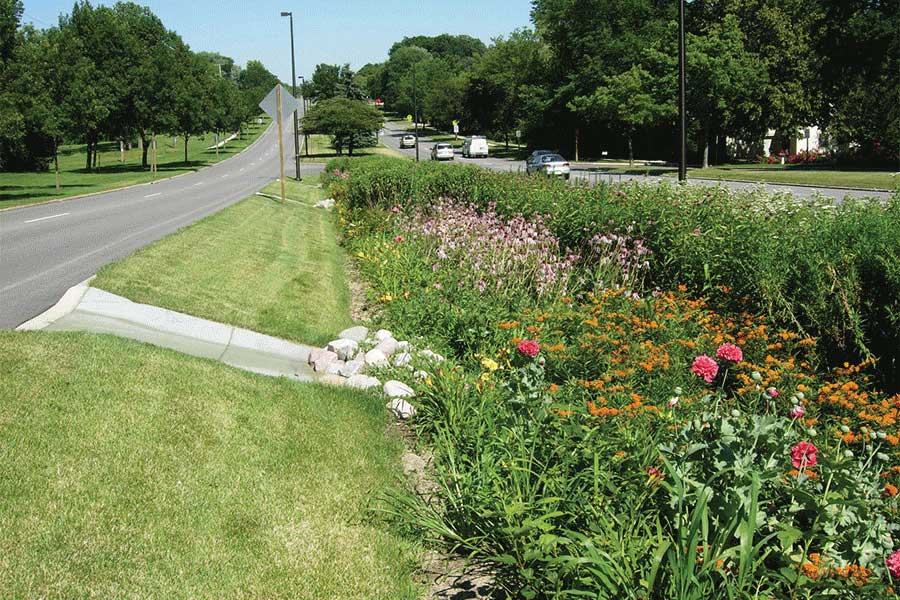 Rain gardens