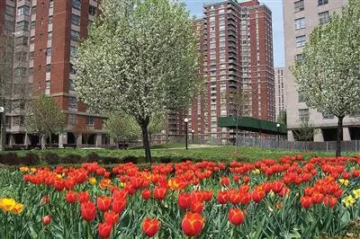 Urban Catchment forestry