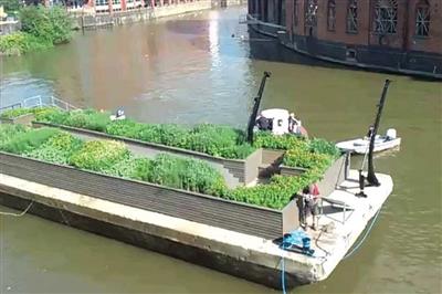 Floating gardens