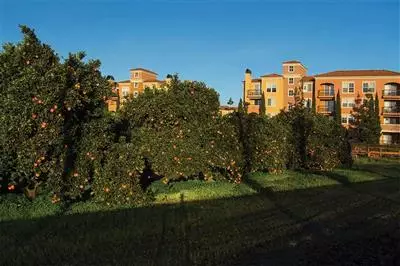 Urban orchards