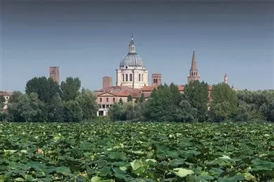 Mantova