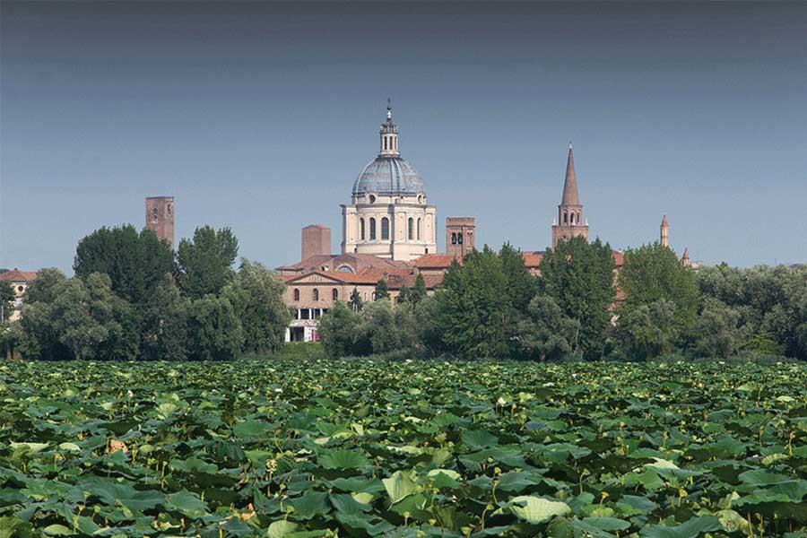 Mantova