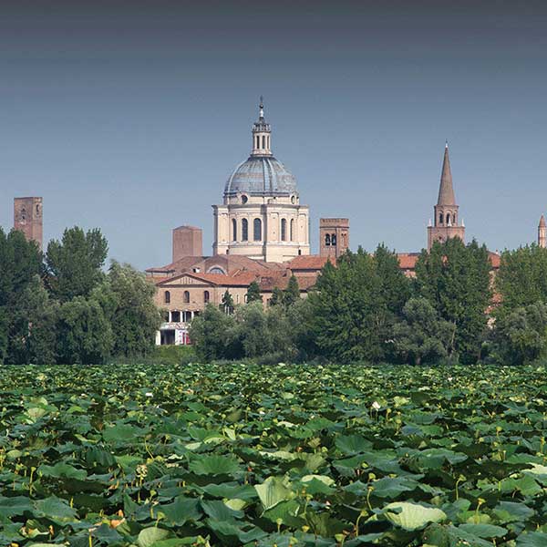 Mantova