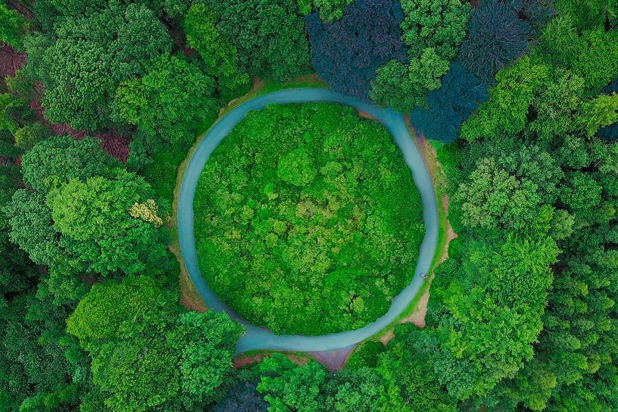 How can the circular approach save our cities?