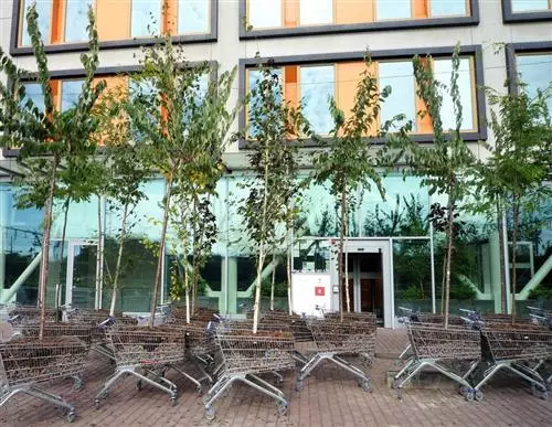 Pop Up Forest arrives in Liverpool