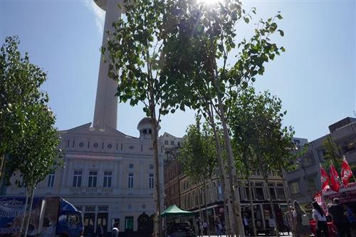 Liverpool, a frontrunner city in re-naturing public spaces