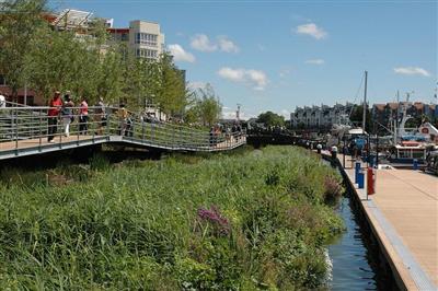 The URBAN GreenUP catalogue of Nature-Based solutions is now public