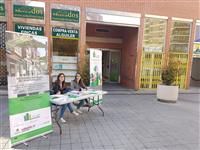 Valladolid and its citizens are actively involved in Urban GreenUP