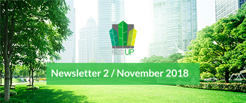 Newsletter n.2 - November 2018