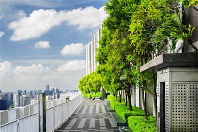 Horizon Magazine: Mobile forests could help cities cope with climate change