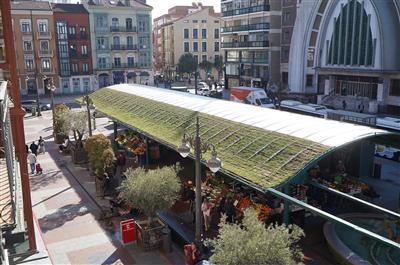 Nature will welcome you when buying fruits and vegetables in Valladolid
