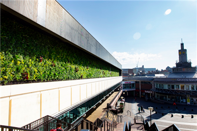 Living green wall installed in Liverpool