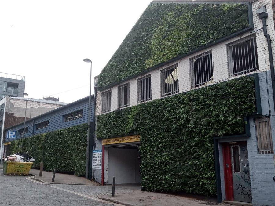 Living Green Wall on Parr Street in Liverpool