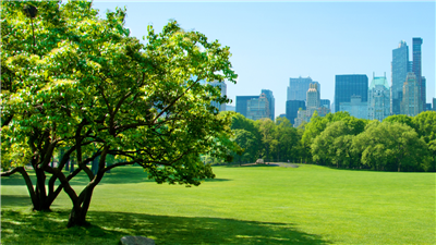 When nature came back to the cities