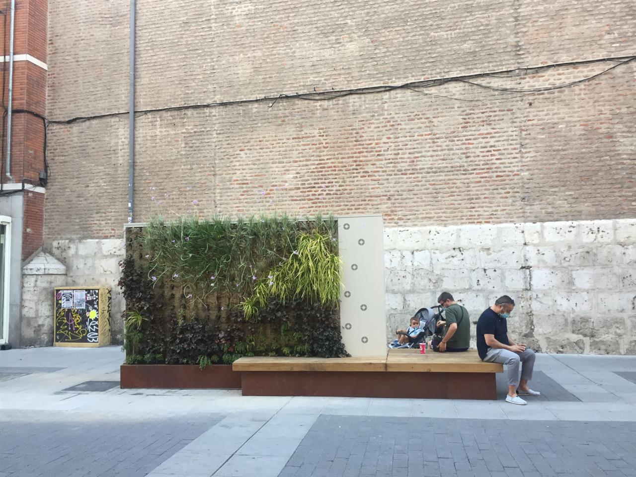 Vertical garden with bench