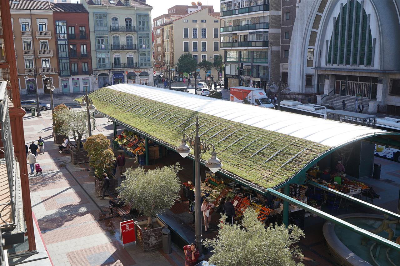 Green Roof