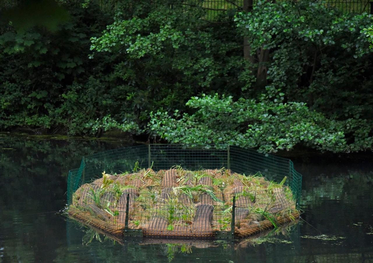 Green Island