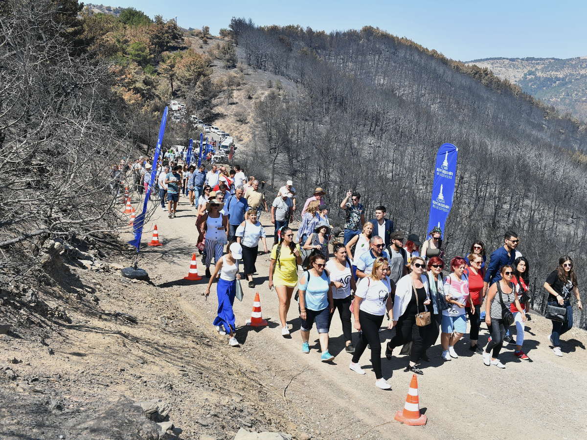 An extraordinary City Council in the forest - By Izmir Metropolitan Municipality, Turkey