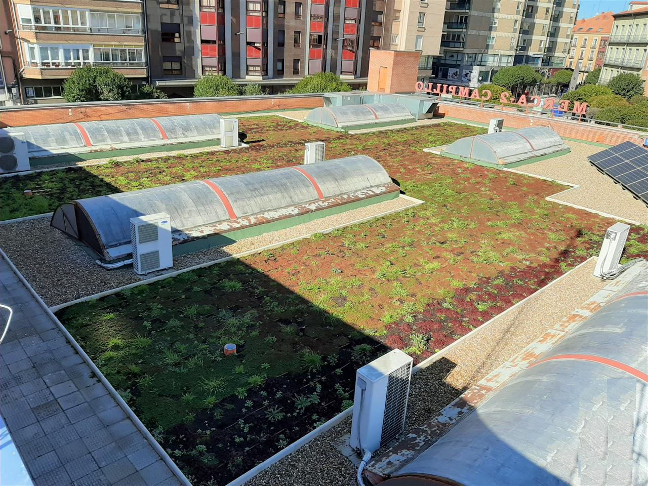 Nature on the Roof